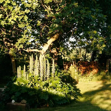 Holiday home Sous Le Tilleul Bellon