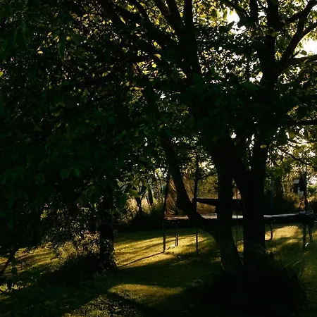 펜션 Sous Le Tilleul *